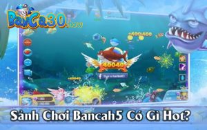 Sảnh Chơi Bancah5 Trải Nghiệm Tha Ga Cung Cược Thủ