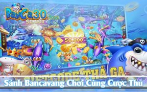 Sảnh Bancavang Chơi Giải Trí Độc Đáo Hấp Dẫn