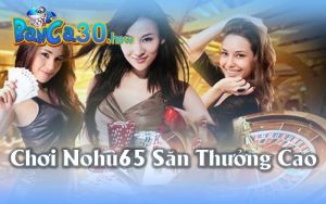 Nohu65 - Hướng Dẫn Chơi Và Cách Nhận Thưởng Cao