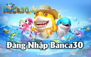 Đăng Nhập Banca30 - Các Lỗi Thường Gặp Và Cách Khắc Phục