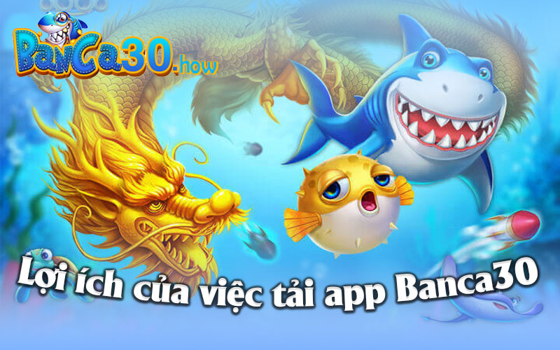 Lợi ích của việc tải app Banca30