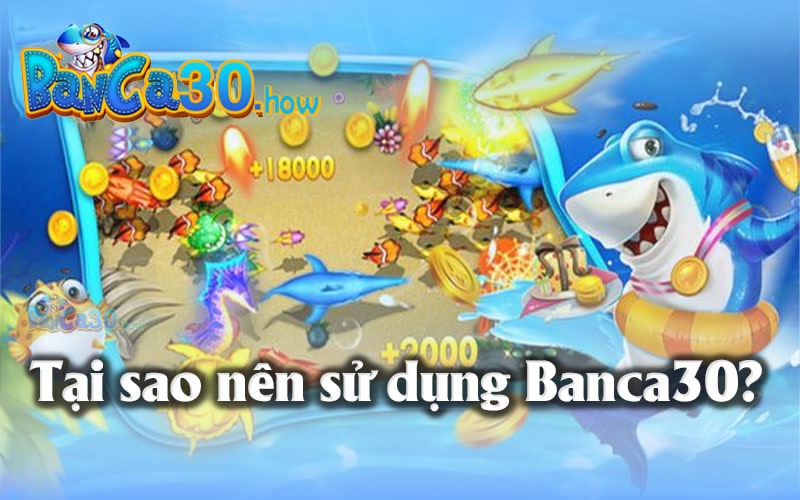 Tại sao nên sử dụng Banca30?