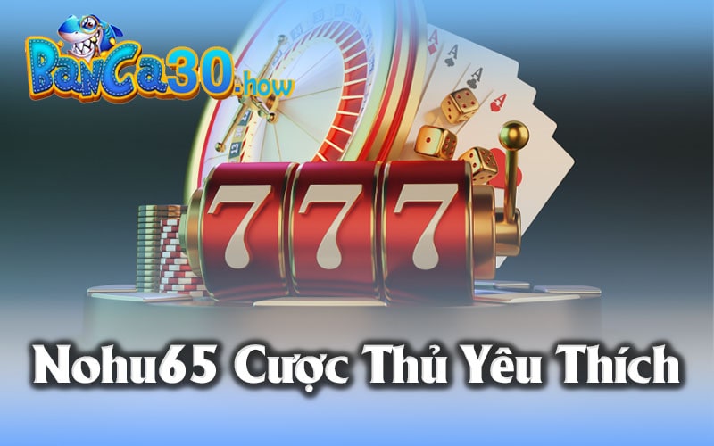 Giới thiệu về Nohu65